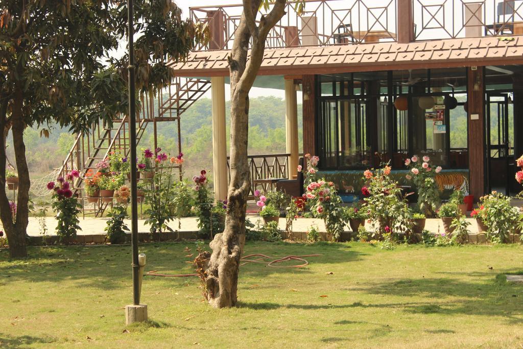 Hôtel Jungle Wildlife Camp à Sauraha Extérieur photo