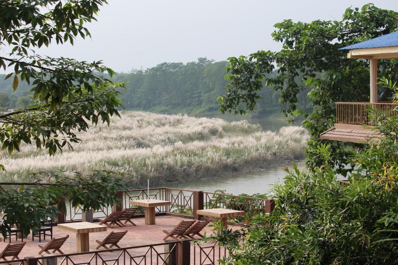 Hôtel Jungle Wildlife Camp à Sauraha Extérieur photo